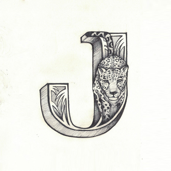 For the Love of Letters & Animals by @ohjphan