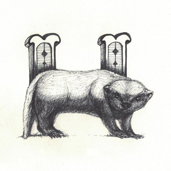 Honey Badger