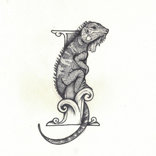 Iguana