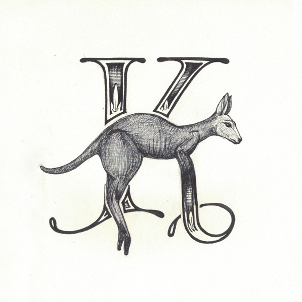 Kangaroo