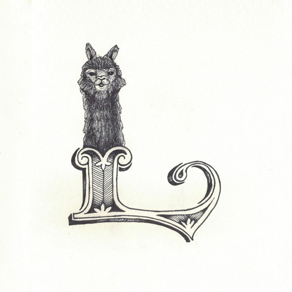 Llama