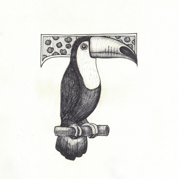 Toucan