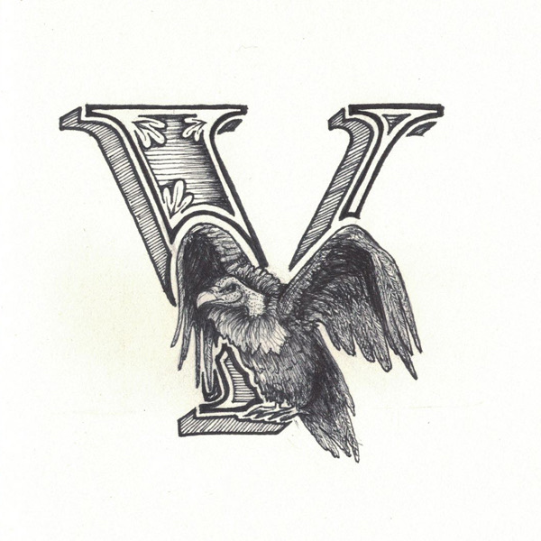 Vulture