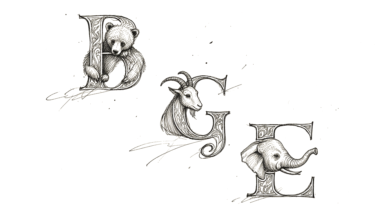 Ink sketch of alphabet animal letter studies